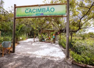 Um Tesouro Ancestral de Arembepe e Símbolo de Resistência Cultural