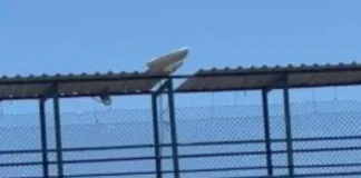 A denúncia feita pelo morador de Arembepe