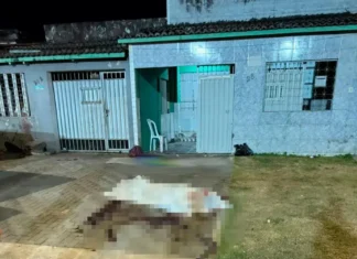 Colega de trabalho mata outro após desentendimento em Camaçari