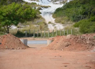 Invasão no Parque das Dunas em Abrantes gera preocupação ambiental