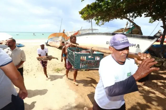 Pescadores e Marisqueiras Devem se Recadastrar no Programa Mais Pesca