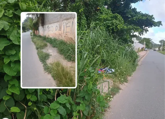 Descaso em Abrantes_ ruas sem manutenção e falta de iluminação geram indignação e riscos.