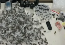 Durante a ação, houve confronto, e os suspeitos fugiram para uma área de mata. A polícia segue investigando para capturar os envolvidos.