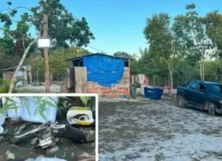 O líder do grupo, _Geleia_, segue foragido na Bolívia. A polícia continua as investigações.