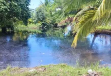 A população desconfia de contaminação química e cobra resposta das autoridades.
