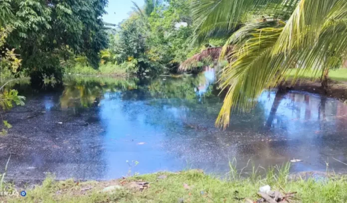 A população desconfia de contaminação química e cobra resposta das autoridades.