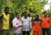 Moradores denunciam peixes mortos em lagoa e prefeitura vai até o local para investigar e buscar soluções.