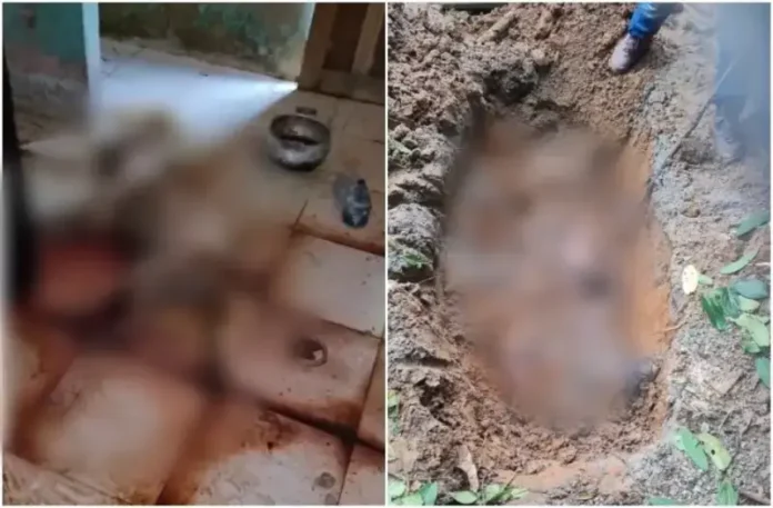 Polícia investiga crimes e suspeito está foragido.