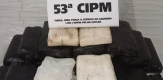 Polícia suspeita que droga veio do mar e já investiga o caso.