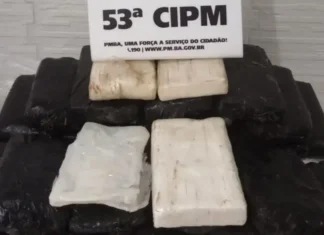 Polícia suspeita que droga veio do mar e já investiga o caso.