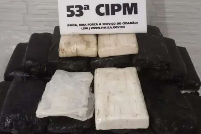 Polícia suspeita que droga veio do mar e já investiga o caso.
