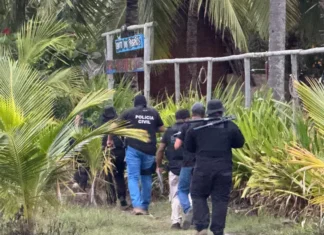 As investigações seguem em andamento, e novas prisões podem ocorrer nos próximos dias