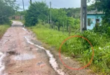 Crime segue sem suspeitos ou motivação confirmada.