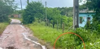 Crime segue sem suspeitos ou motivação confirmada.