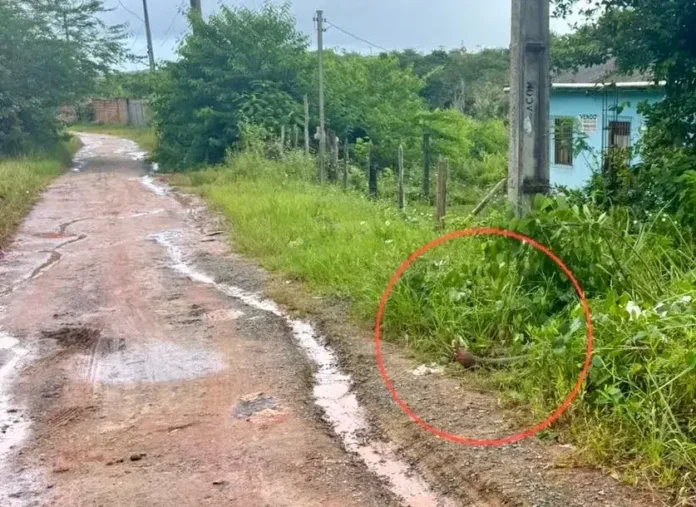 Crime segue sem suspeitos ou motivação confirmada.