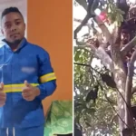 Situação mobiliza equipes do Corpo de Bombeiros e chama atenção nas redes sociais.