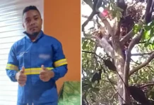 Situação mobiliza equipes do Corpo de Bombeiros e chama atenção nas redes sociais.