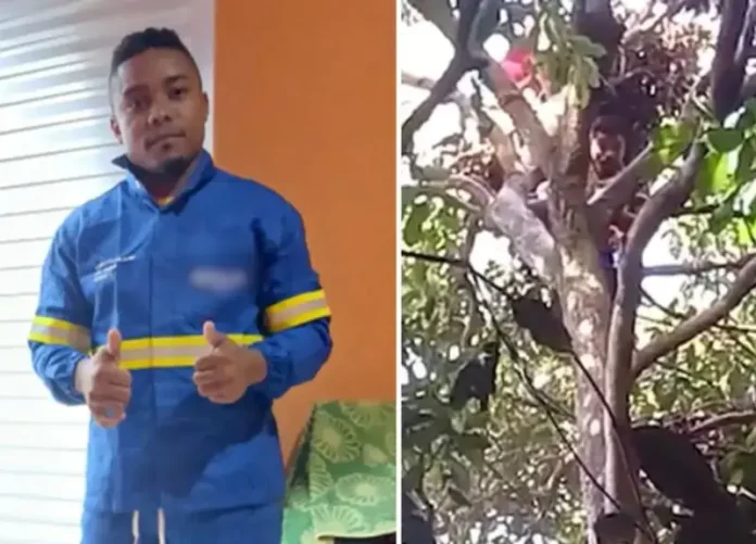 Situação mobiliza equipes do Corpo de Bombeiros e chama atenção nas redes sociais.