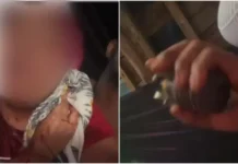Um criminoso armado invadiu uma casa na Aldeia Hippie, em Arembepe