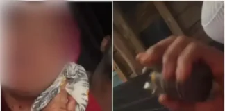 Um criminoso armado invadiu uma casa na Aldeia Hippie, em Arembepe