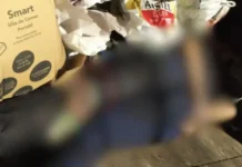 Vítima tinha mãos amarradas e sinais de tentativa de decapitação.