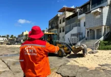 A ação reafirma a importância de proteger a fauna marinha e manter o equilíbrio do ecossistema.