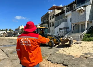 A ação reafirma a importância de proteger a fauna marinha e manter o equilíbrio do ecossistema.