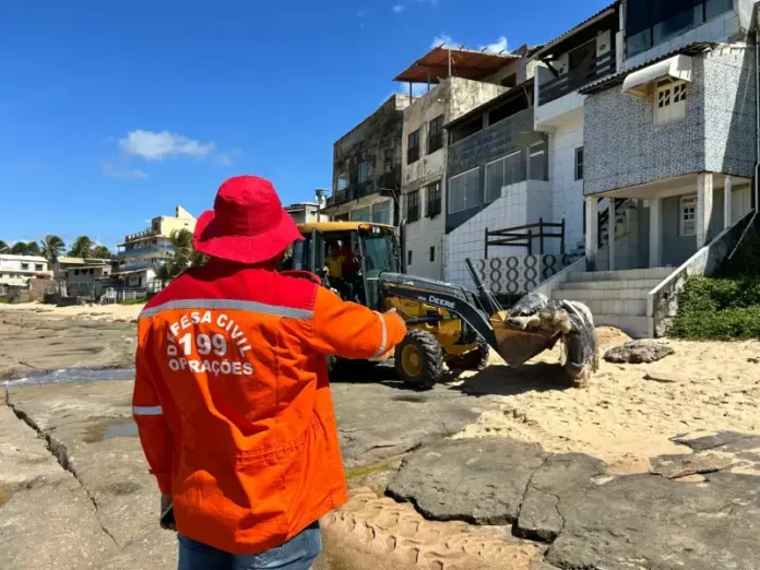 A ação reafirma a importância de proteger a fauna marinha e manter o equilíbrio do ecossistema.