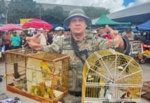 Ação visa combater crimes ambientais e proteger a fauna brasileira.