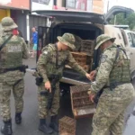 Animais eram vendidos ilegalmente na feira livre do município.