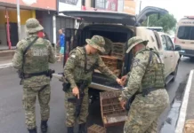 Animais eram vendidos ilegalmente na feira livre do município.