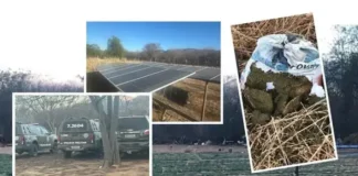 Droga seria vendida em Salvador e Litoral Norte.