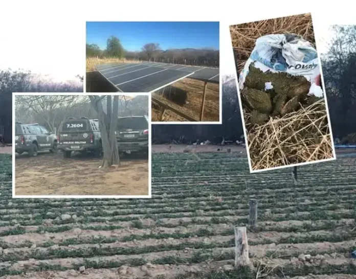 Droga seria vendida em Salvador e Litoral Norte.