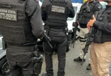 Em média, 62 pessoas são detidas por dia em operações conjuntas das forças estaduais e federais.