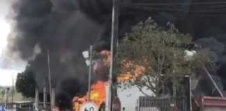 O choque causou incêndio e interditou a rodovia.