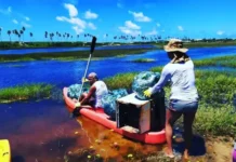 O movimento é uma oportunidade de união entre moradores, visitantes e voluntários para promover mais consciência ecológica