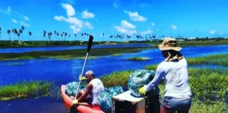 O movimento é uma oportunidade de união entre moradores, visitantes e voluntários para promover mais consciência ecológica
