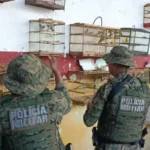 A operação da Coppa resultou no resgate dos animais e na condução dos suspeitos à delegacia.