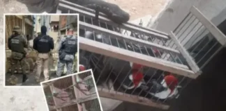 Grupo vendia espécies raras por até R$ 80 mil.