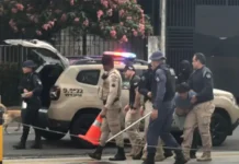 Polícia Civil prende homem suspeito de usar cães para atacar pessoas na Graça As vítimas relataram episódios de ameaças e ataques físicos promovidos pelo homem com o auxílio dos animais.